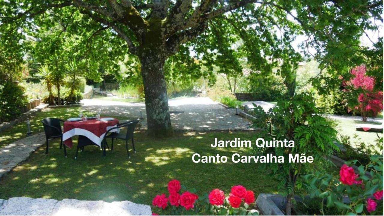 Quinta Monteluz Viseu Exterior photo